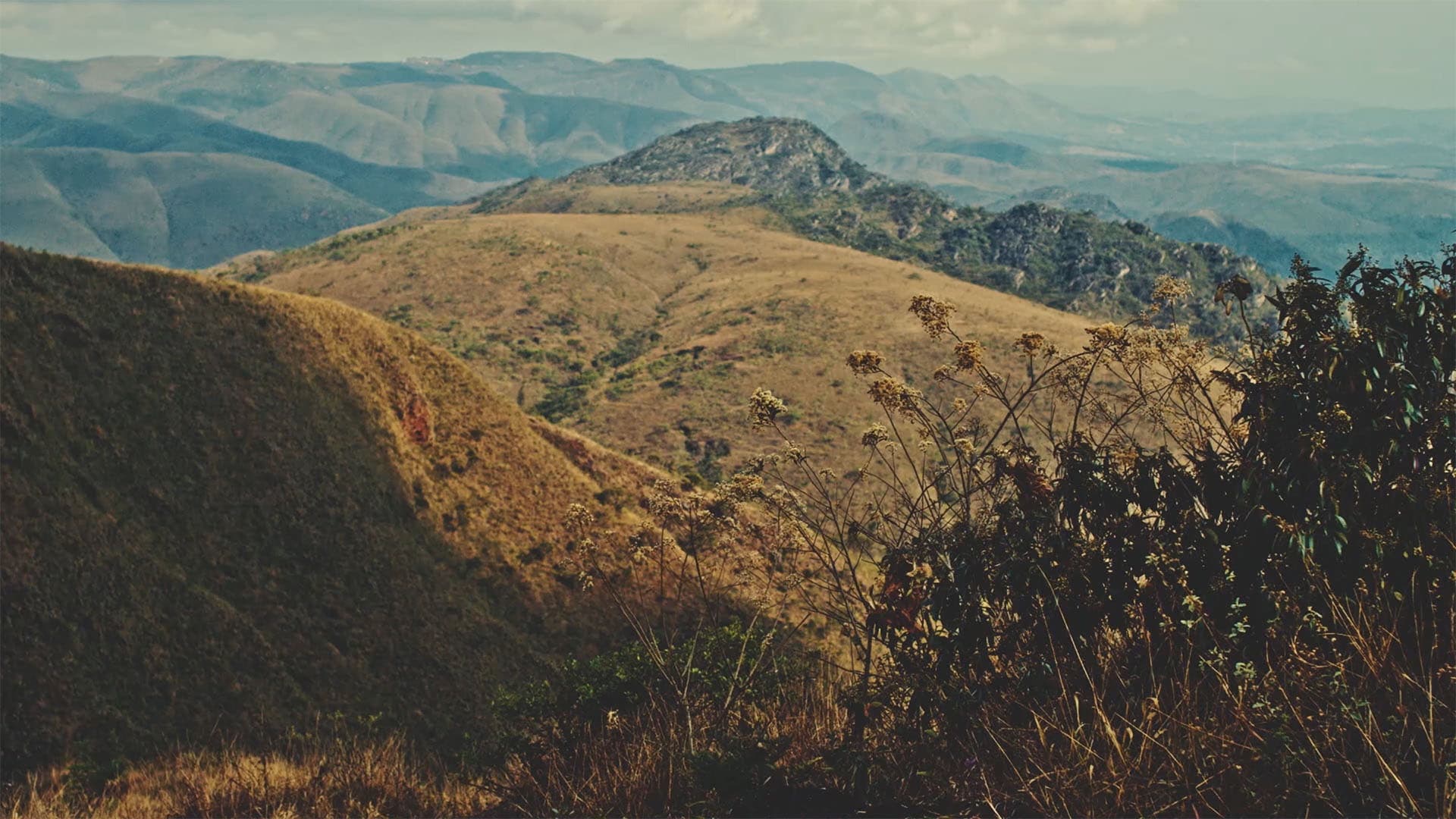 Vista do cerrado