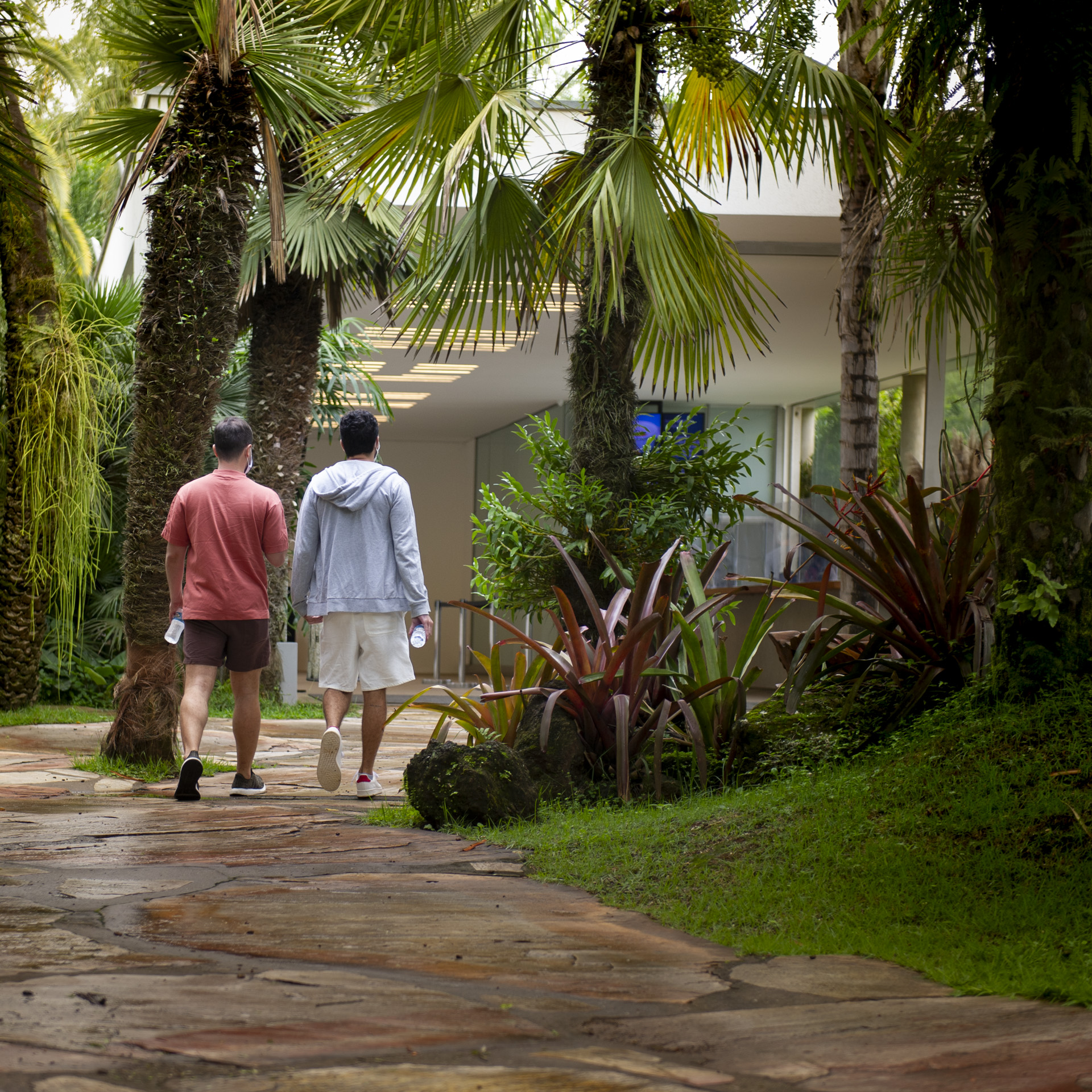Horários visite Inhotim visitantes caminhando