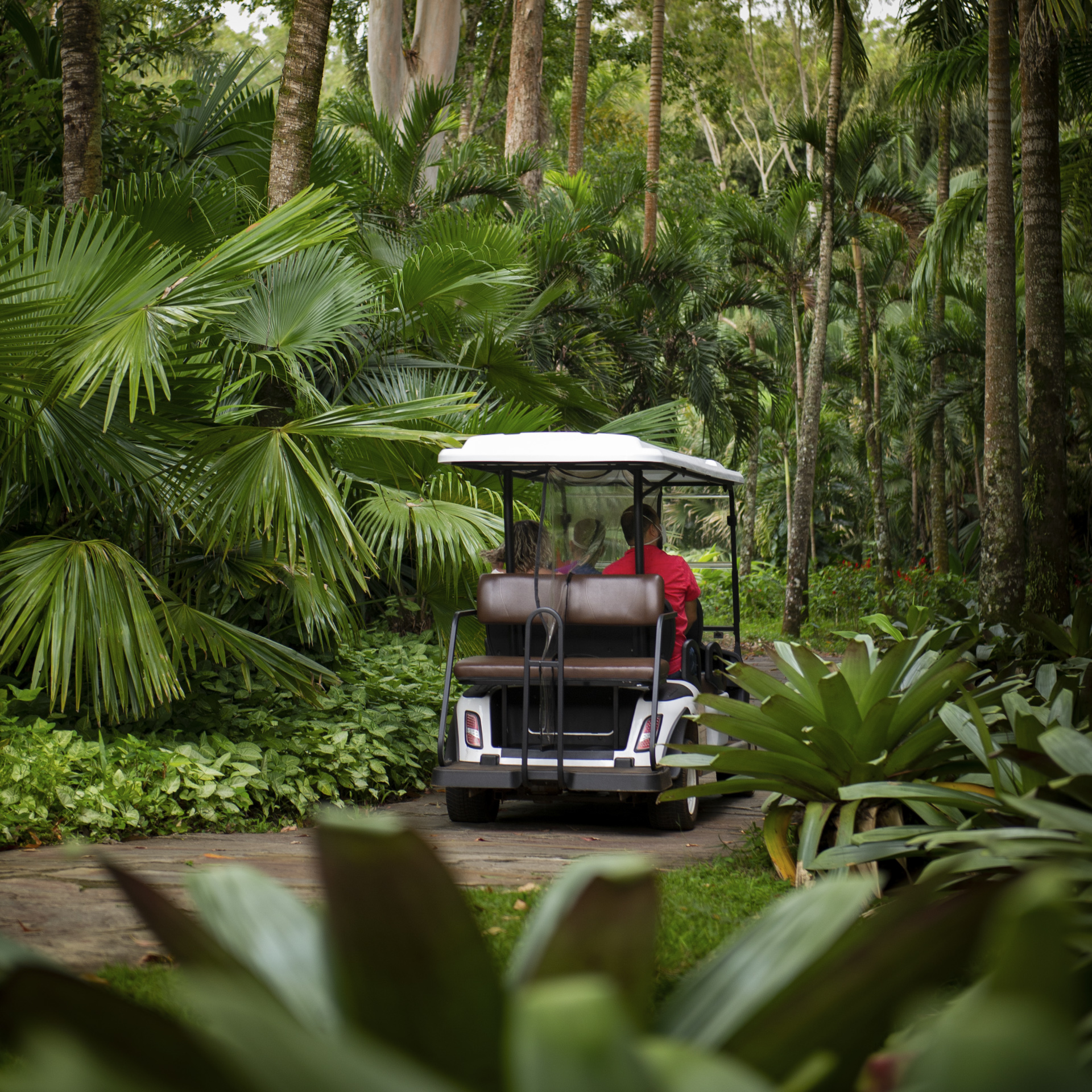 transporte interno visite Inhotim