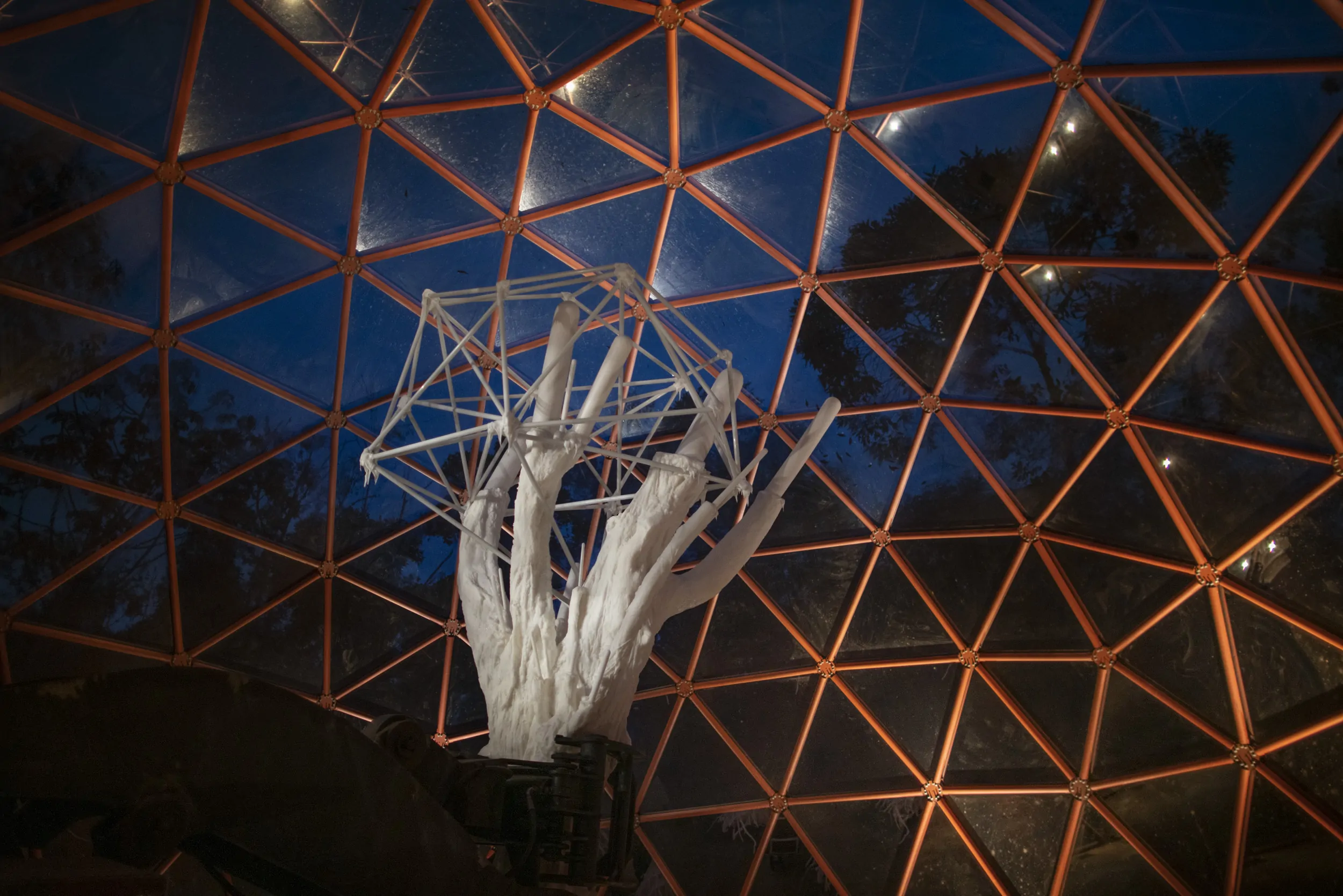 inhotim matthew barney da lama lamina  joao kehl