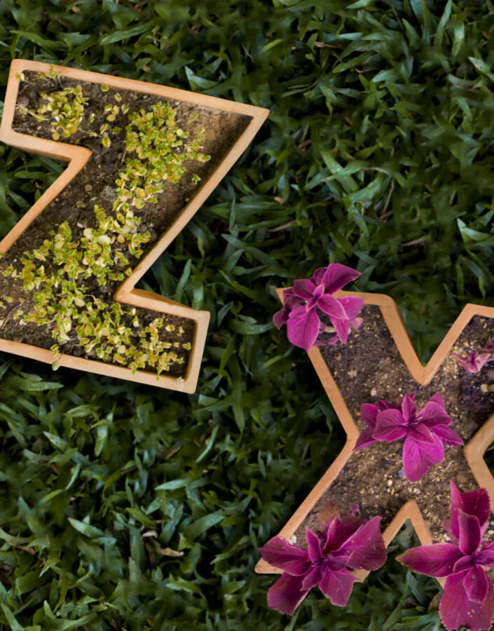 Marilá Dardot, "A origem da obra de arte", 2002, em detalhe.