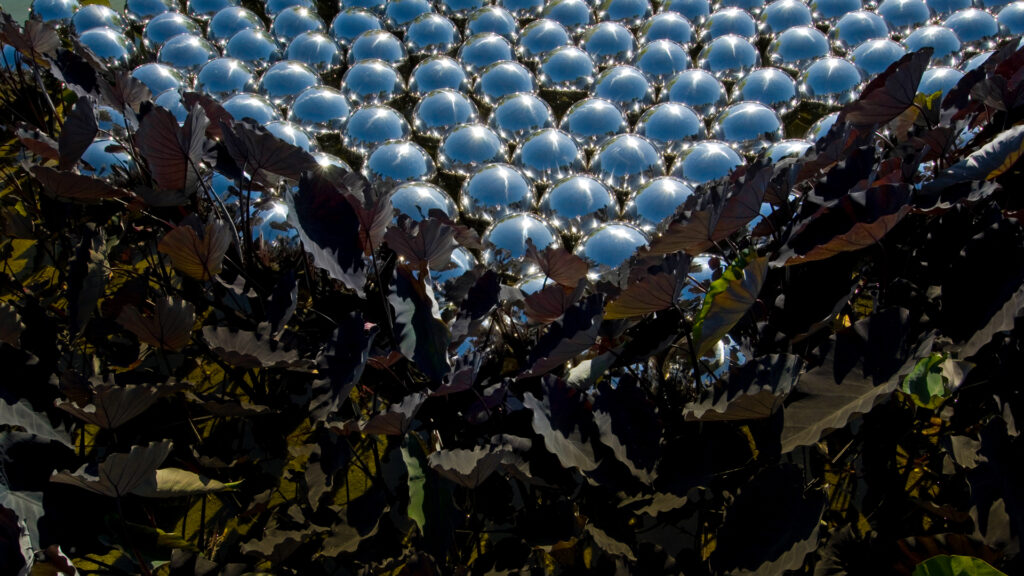 Obra Narcissus Garden Inhotim, 2009, de Yayoi Kusama. Acervo de arte contemporânea do Inhotim