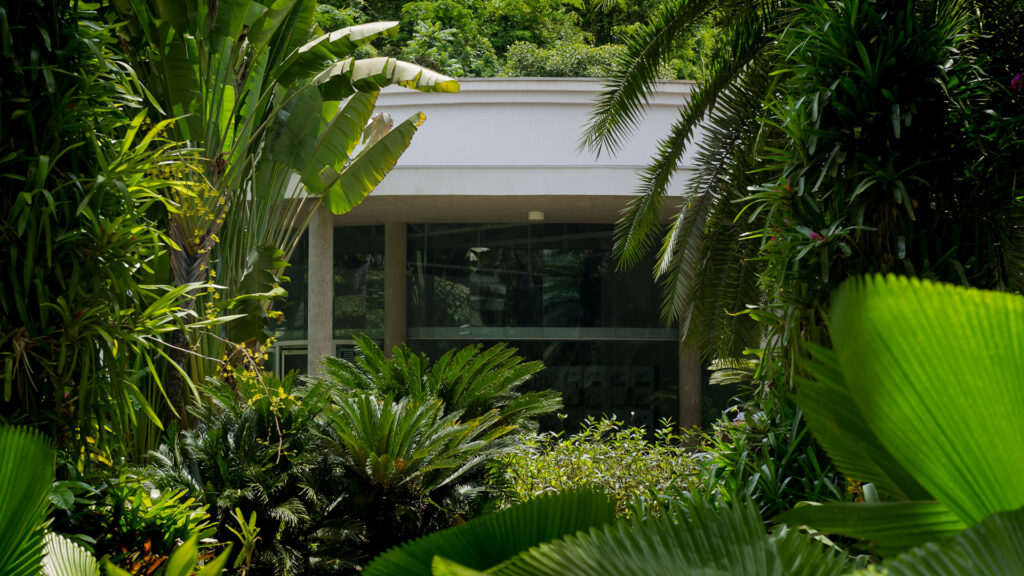 galeria fonte