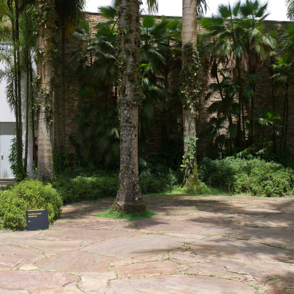 20181101 Galerias e Paisagismo William Gomes-1067