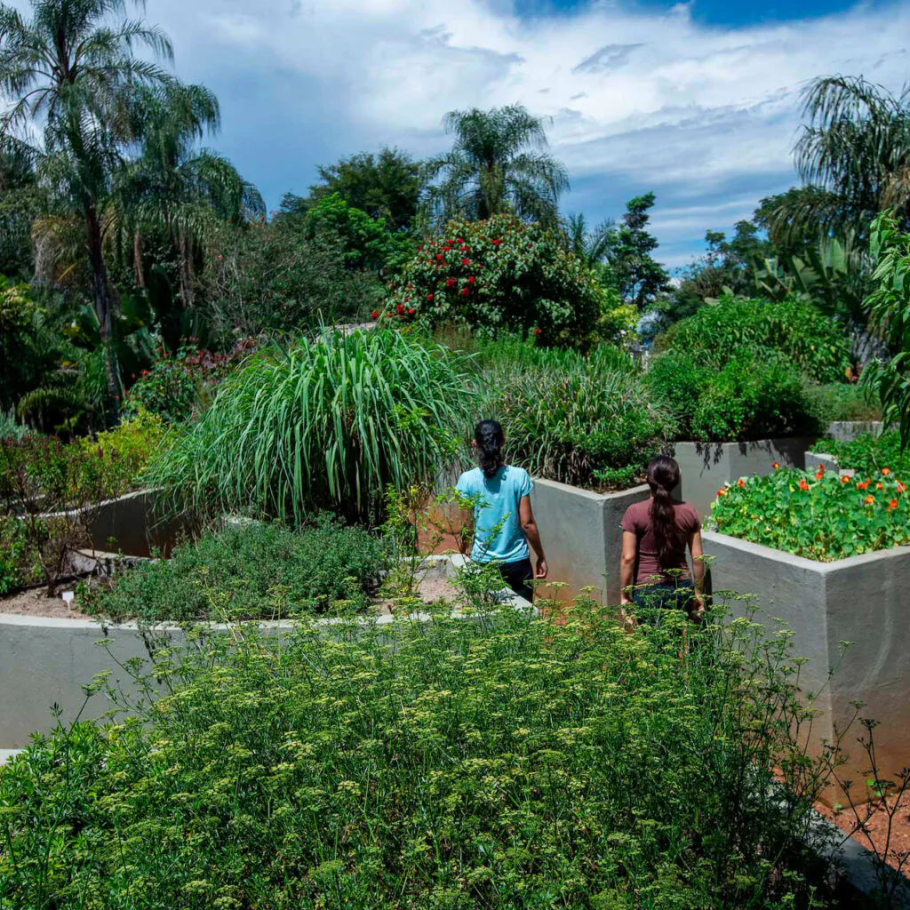 4 JT DTS -visao-geral-3