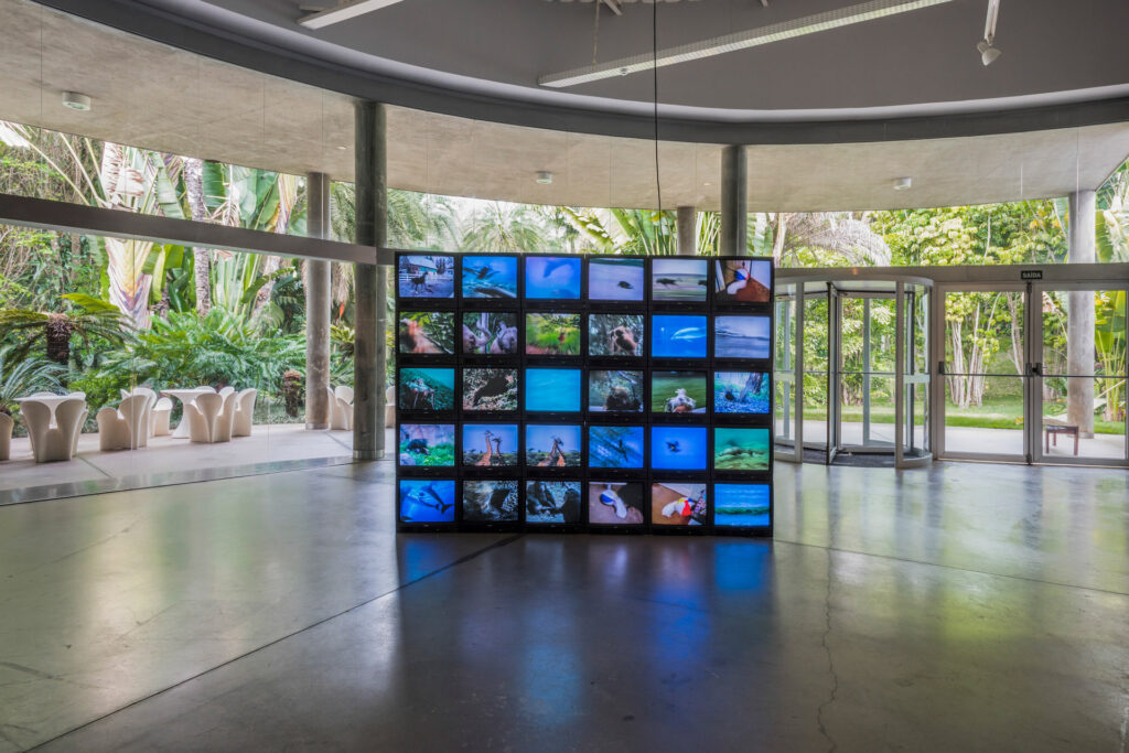 Obra Sem título, 2008 de Peter Coffin,, na exposição