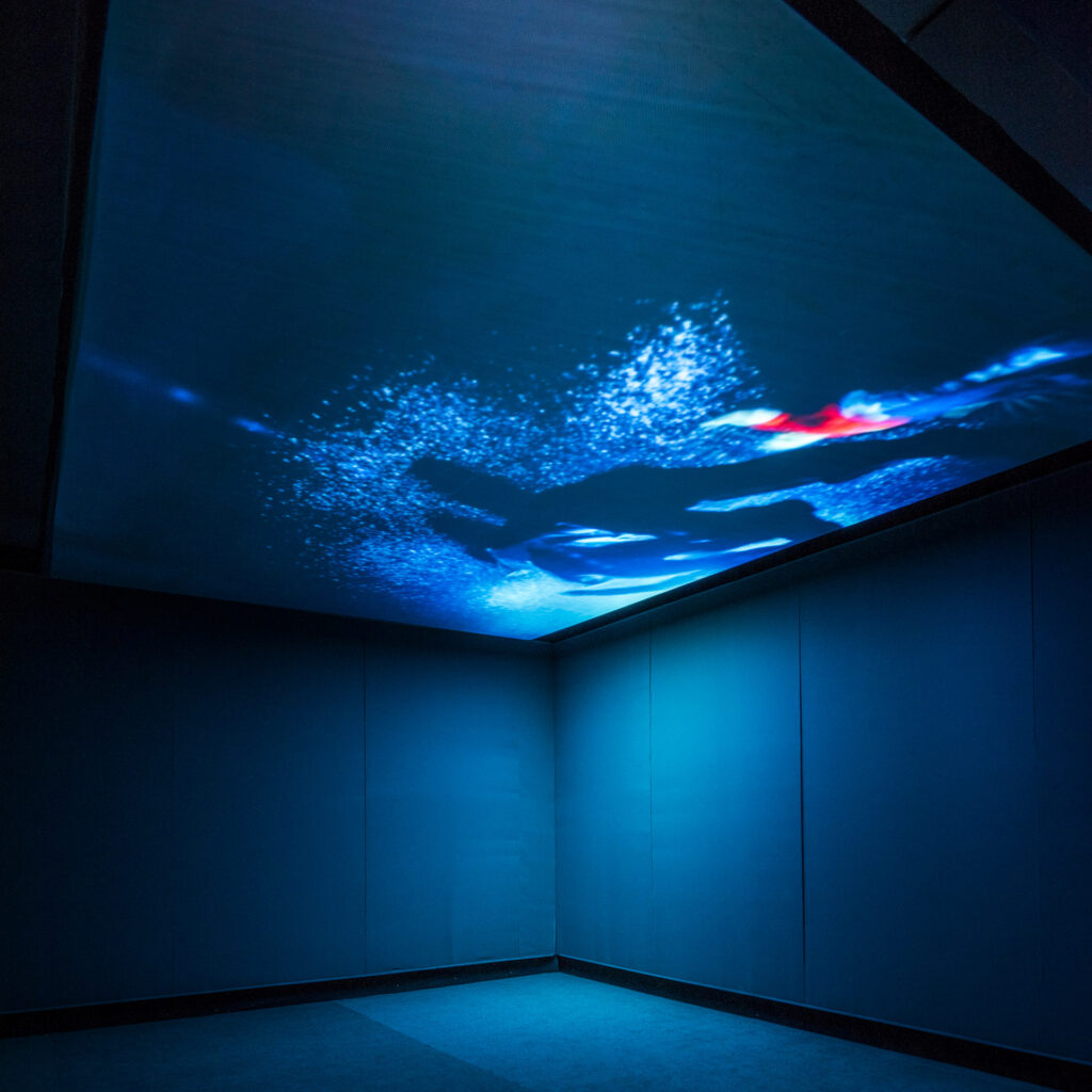 Obra Marcellvs L., exposição , de Overground, 2008, na exposição