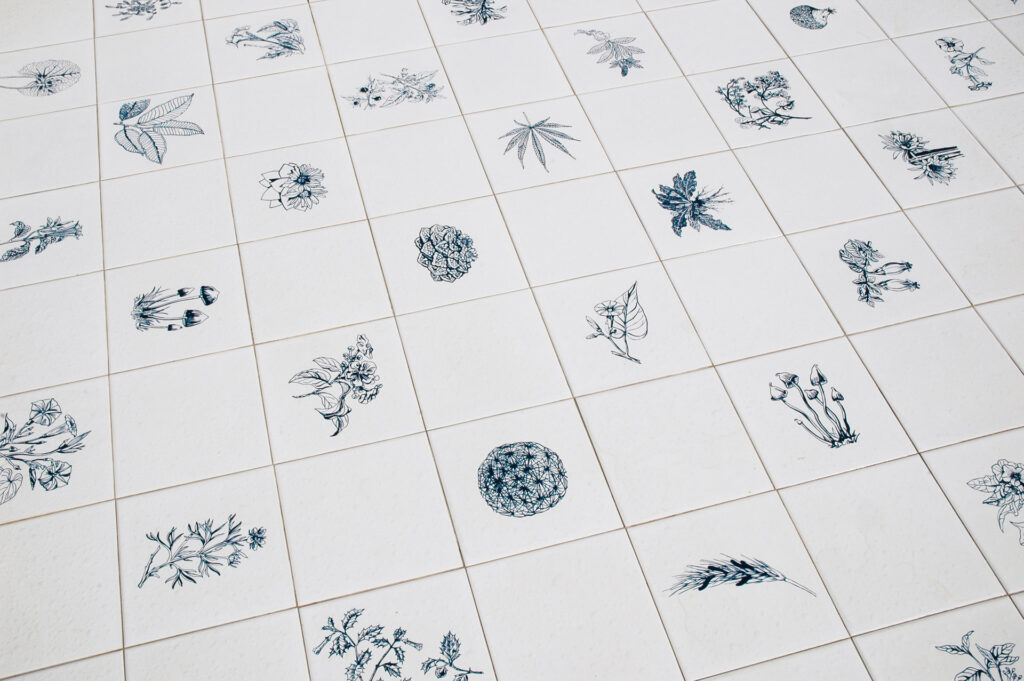 Obra Panacea Phantastica, 2004-08, de Adriana Varejão, Acervo de arte contemporânea Inhotim