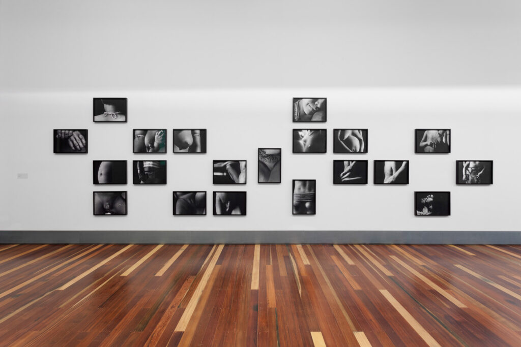 Galeria Claudia Andujar. Acervo de arte contemporânea do Inhotim