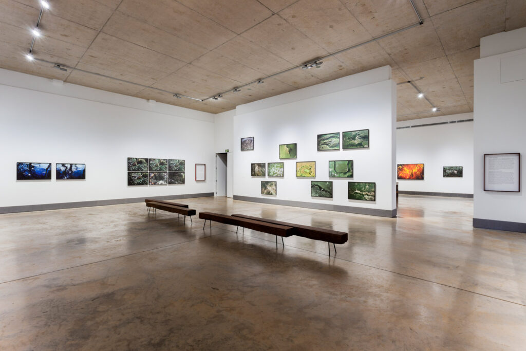 Galeria Claudia Andujar. Acervo de arte contemporânea do Inhotim