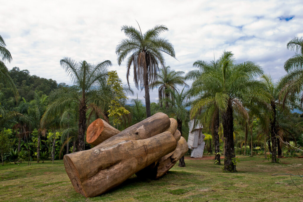 Obra Embrionário, 2003, de Elisa Bracher, . Acervo de arte contemporânea do Inhotim