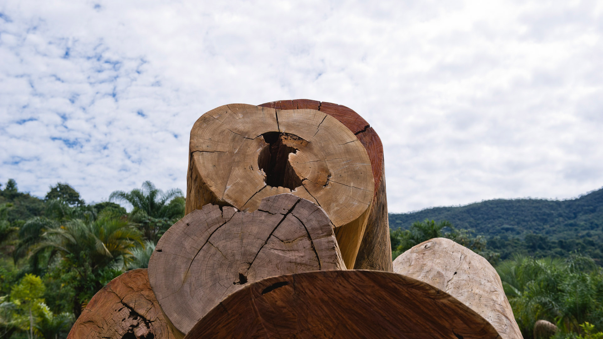 Obra Embrionário, 2003, de Elisa Bracher. Acervo de arte contemporânea do Inhotim