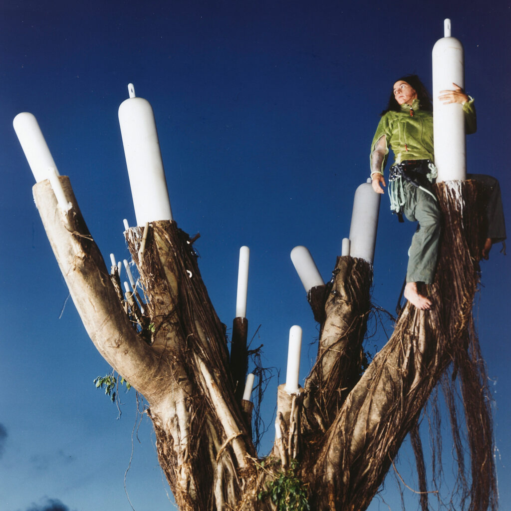 De lama lâmina, 2009, de Matthew Barney. Acervo de arte contemporânea Inhotim