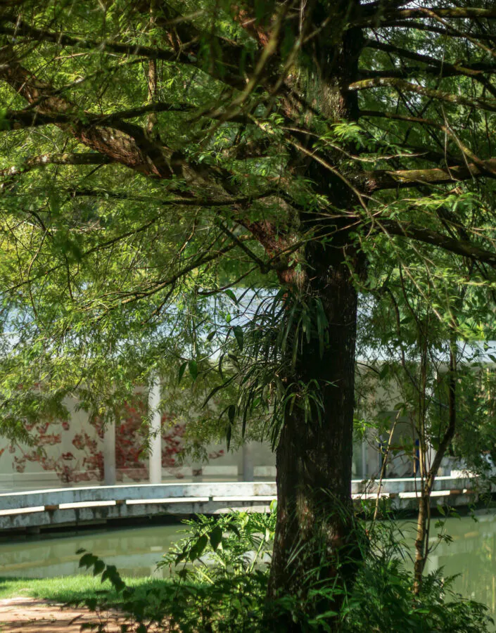 Brumadinho_MG, 19 de fevereiro de 2021Jardim Botanico INHOTIMFOTO: JOAO MARCOS ROSA/NITRO