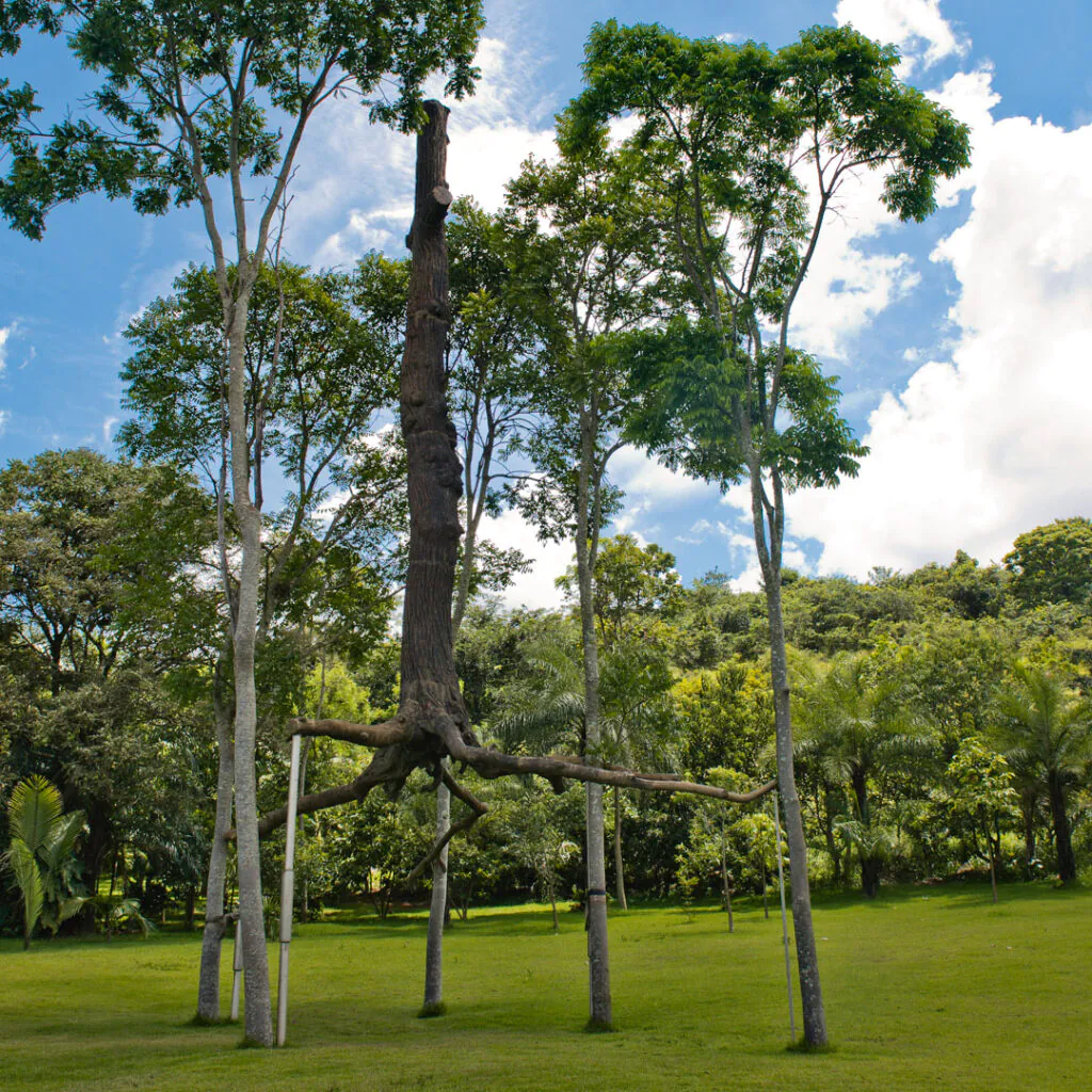​Giuseppe Penone, Elevazione, 2000-01, bronze, 1000x600x600. Foto: William Gomes.