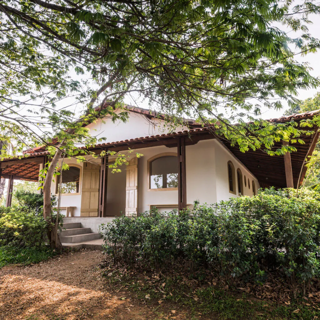 Galeria Carrol Dunham, Rizoma Arquitetura, 2014. Foto: Daniel Mansur
