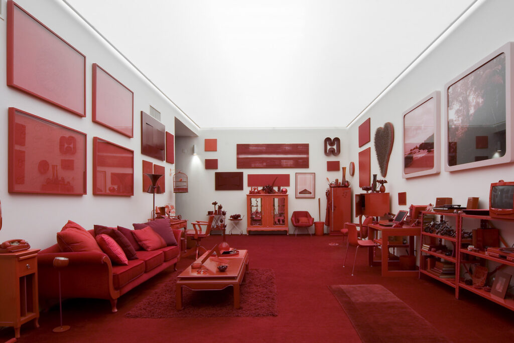 Obra Desvio para o vermelho I: Impregnação, 1967-84, Galeria Cildo Meireles. Acervo Inhotim
