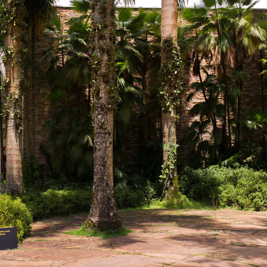 Galeria Cildo Meireles, Paulo Orsini, 2004. Foto: William Gomes