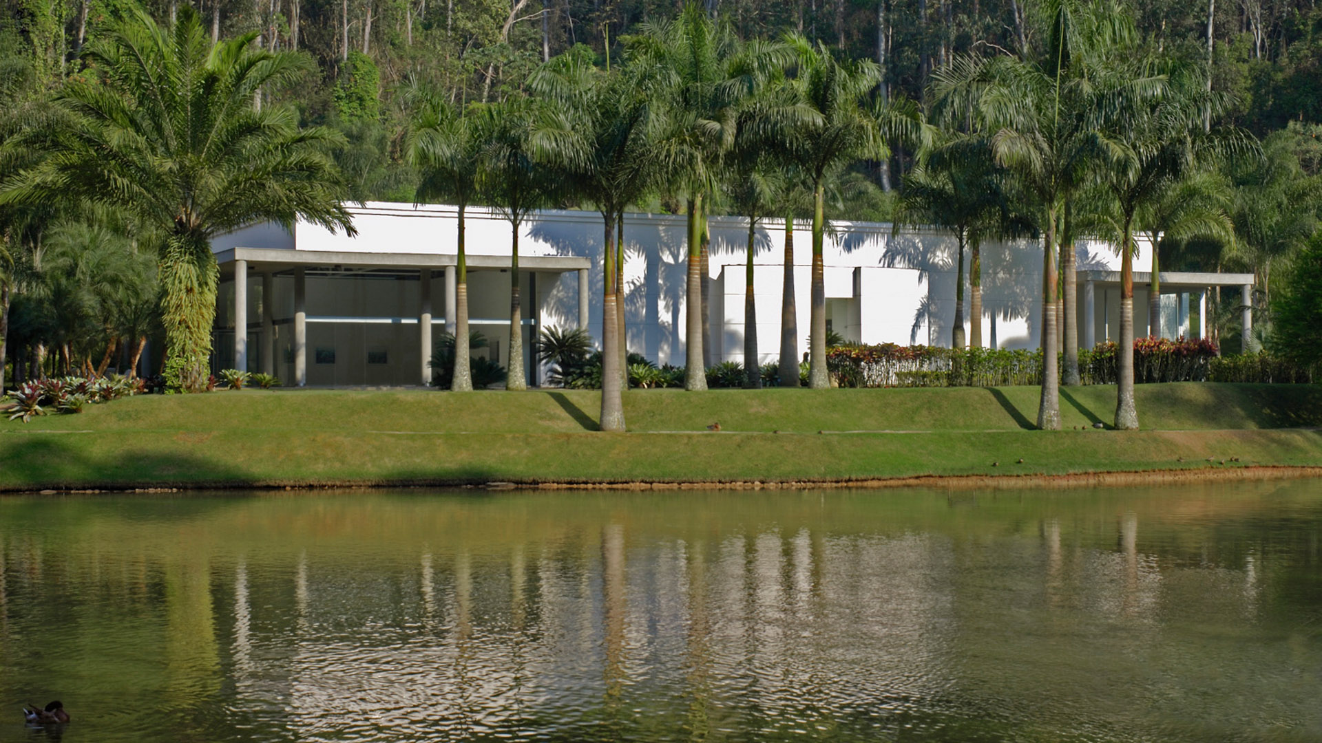 Galeria Mata Inhotim