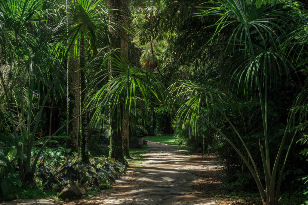 Jardim Temático Jardim Pictórico Inhotim