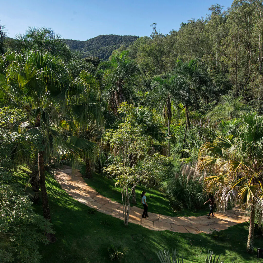 O maior jardim do Inhotim é um convite à uma imersão no universo botânico. Foto: João Marcos Rosa/Nitro.