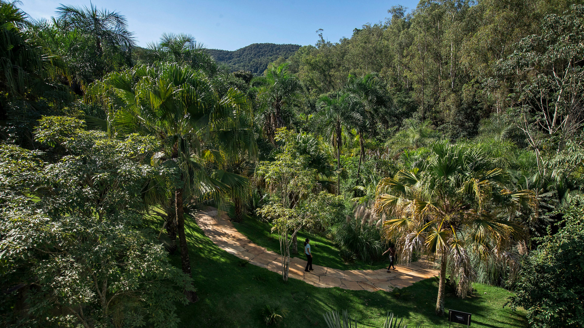 Jardim Sombra e Água Fresca Inhotim