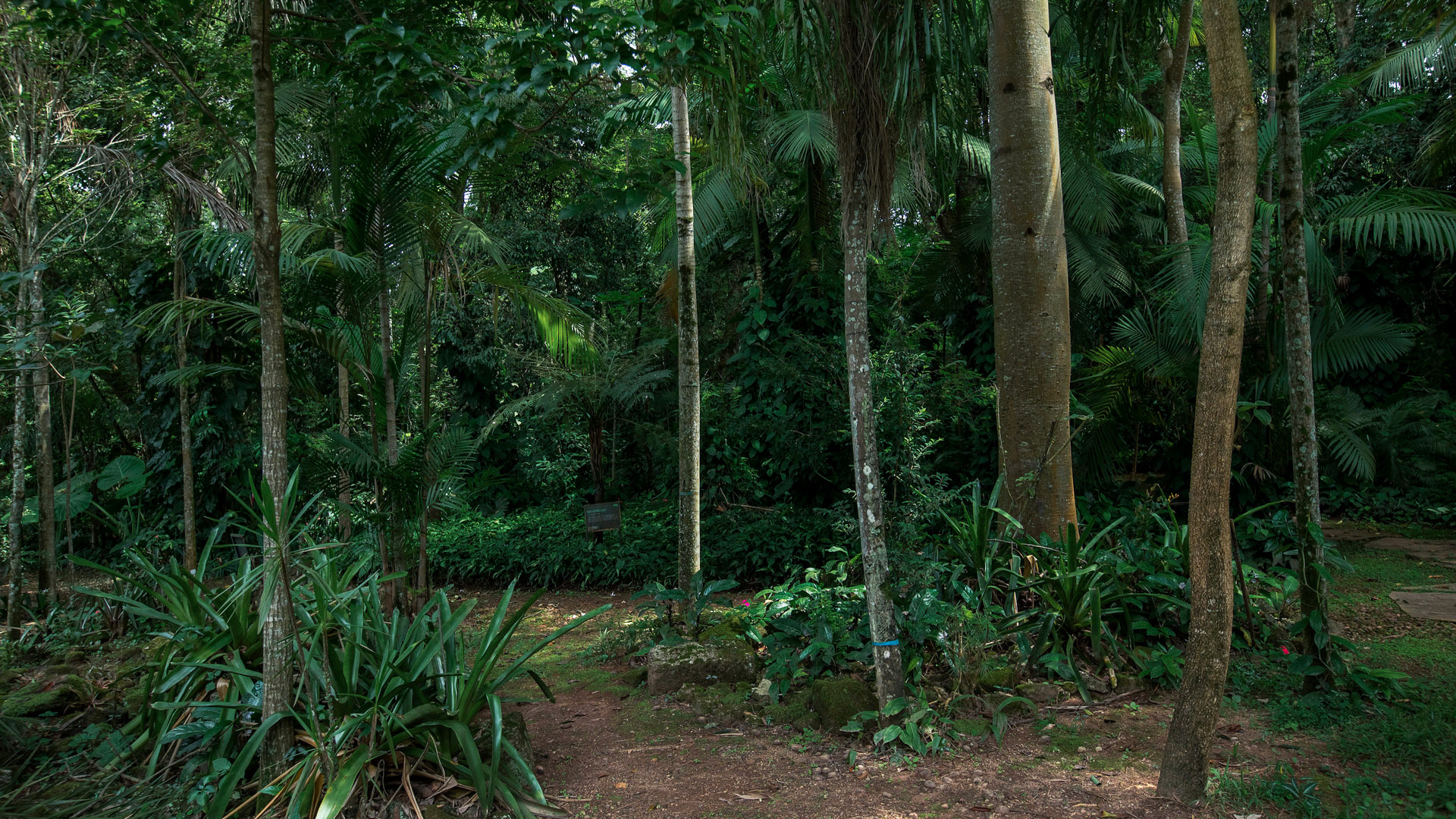 Jardim de Transição Inhotim