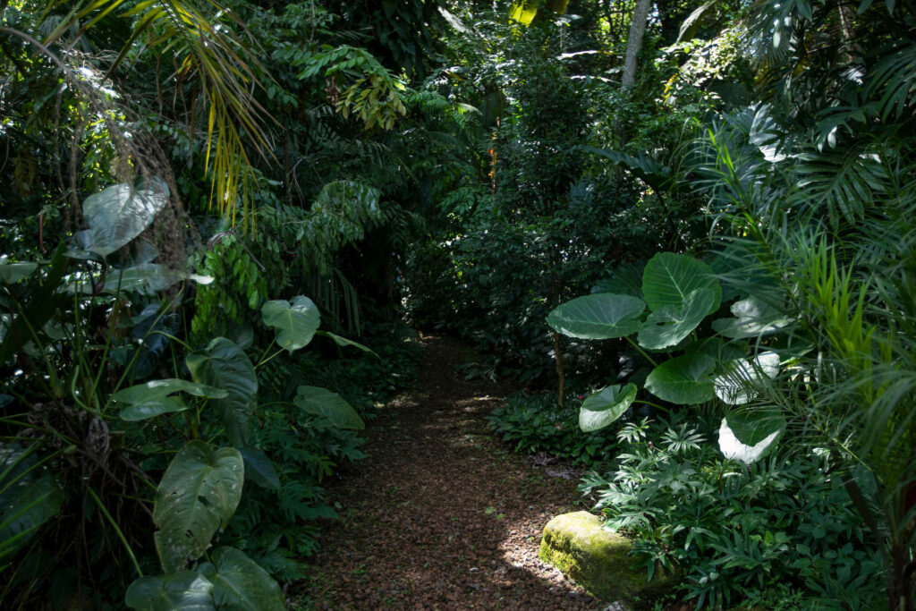 Jardim de Transição Inhotim