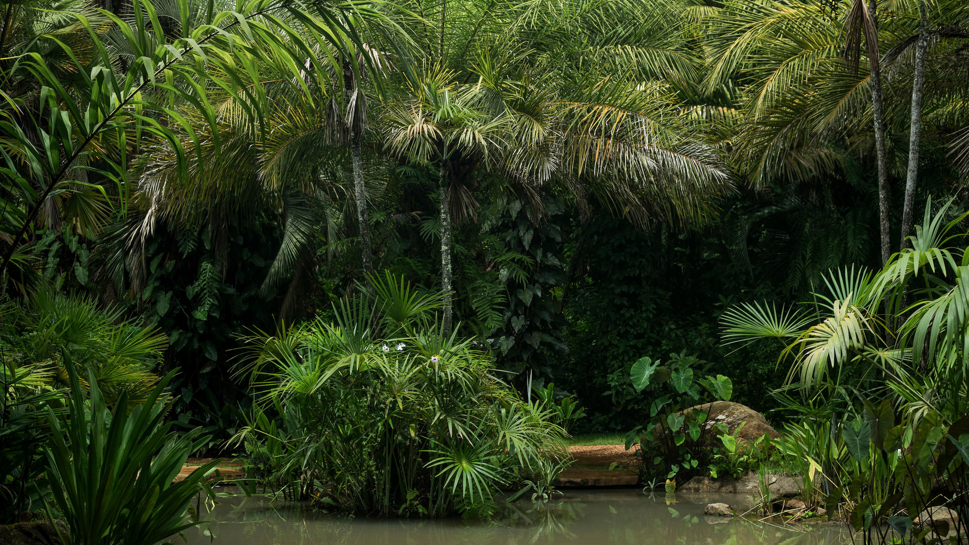 Jardim Temático Jardim Veredas Inhotim