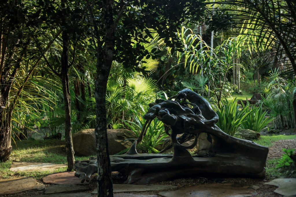 Jardim Temático Jardim Veredas Inhotim