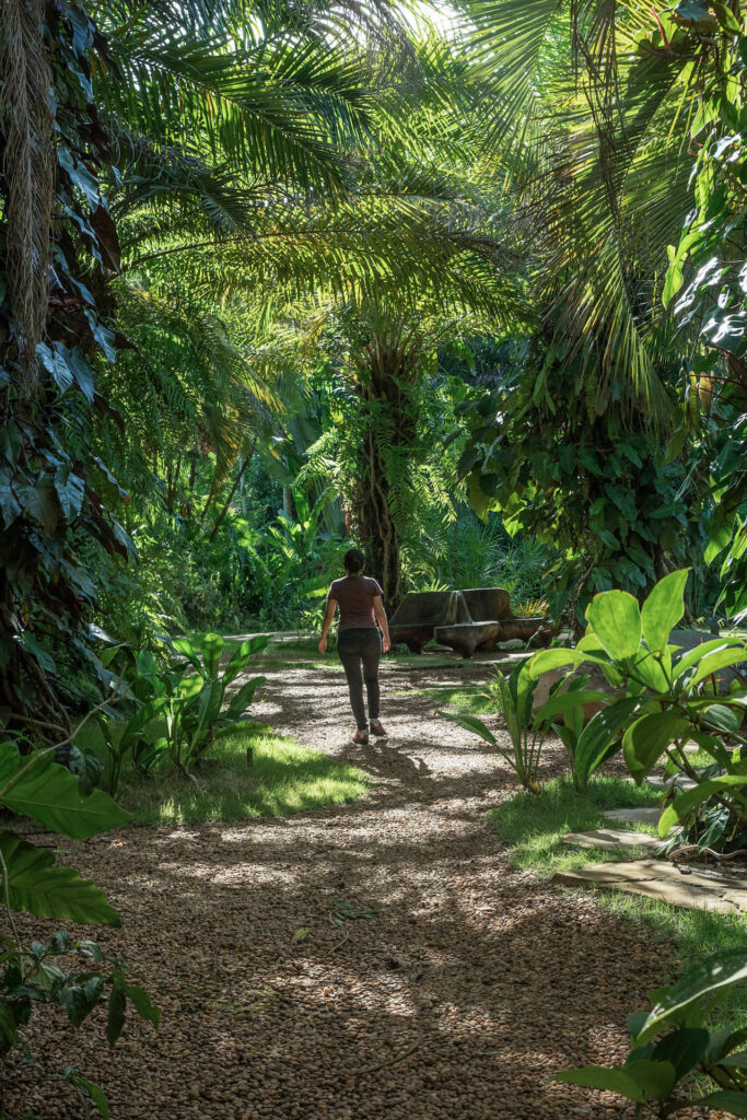 Jardim Temático Jardim Veredas Inhotim