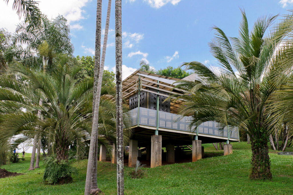 Palm Pavilion, 2006-08 de Rirkrit Tiravanija. Acervo de arte contemporânea Inhotim