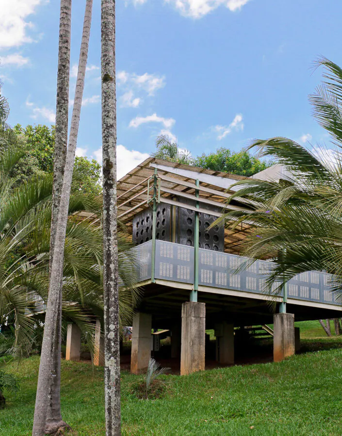 Rirkrit Tiravanija, Palm Pavilion, 2006-08, [vista externa], metal, madeira, palmeiras, materiais diversos, dimensões variáveis.  Foto: William Gomes