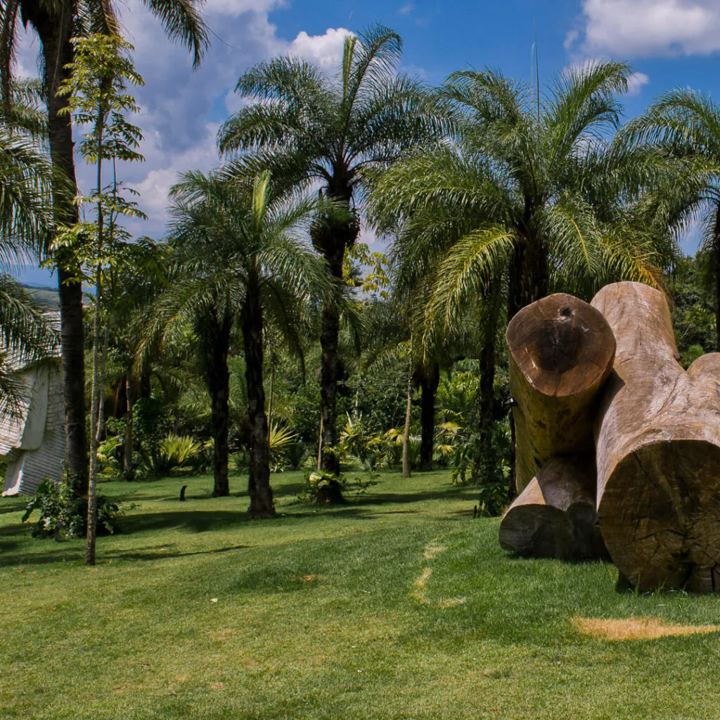Elisa Bracher, Embrionário, 2003, Madeira de eucalipto, cedro e pinos de ferro, dimensões variáveis. Foto: William Gomes