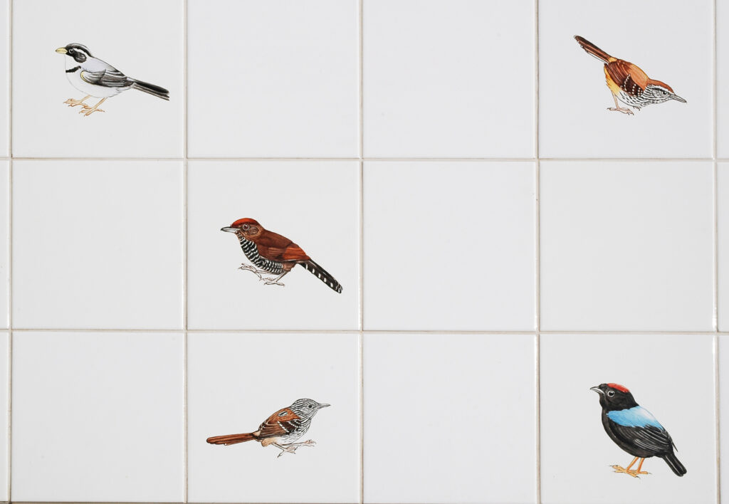 Obra Passarinhos – de Inhotim a Demini, 2004-08, de Adriana Varejão. Acervo de arte contemporânea Inhotim