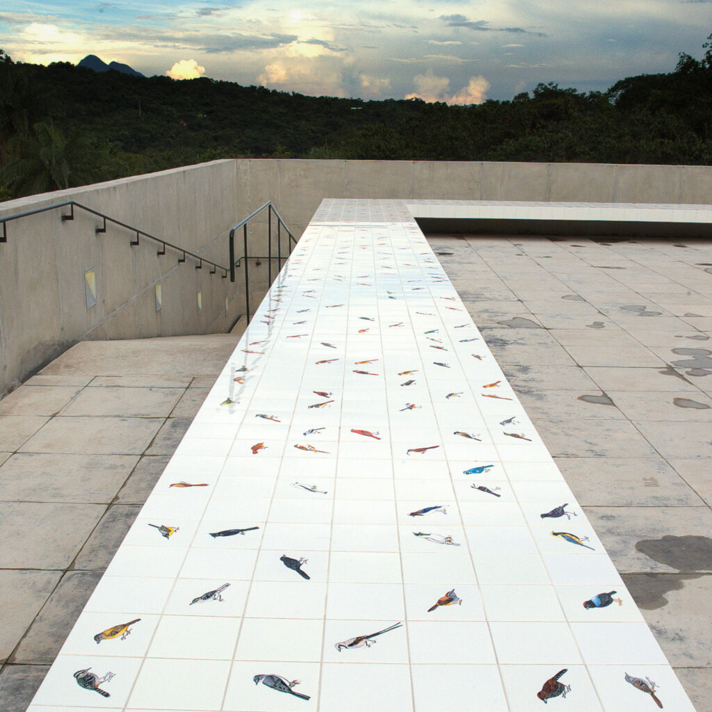 Obra Passarinhos – de Inhotim a Demini, 2004-08, de Adriana Varejão. Acervo de arte contemporânea Inhotim