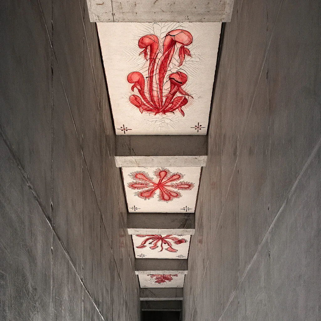 Adriana Varejão, Carnívoras, 2008, óleo e gesso sobre tela, dimensões variáveis. Foto: Eduardo Eckenfels