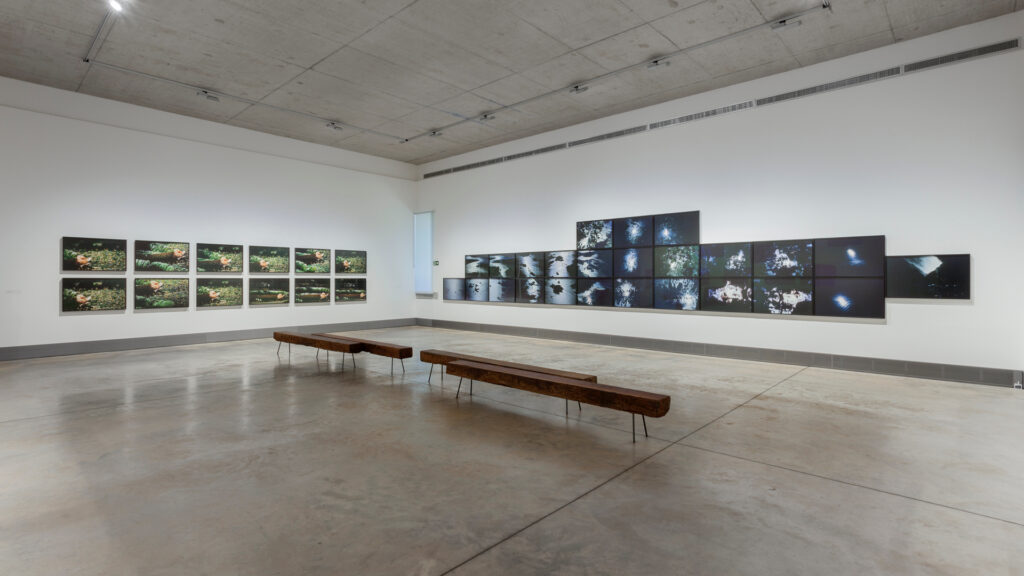 Eixo A terra, Galeria Claudia Andujar. Acervo de arte contemporânea Inhotim