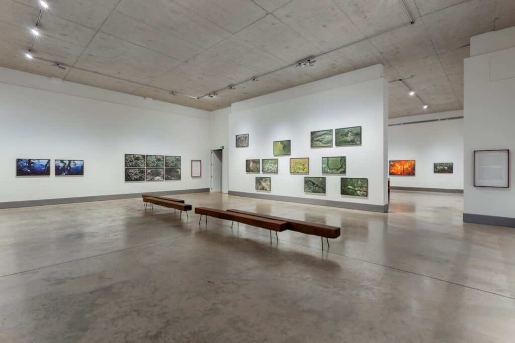 Eixo A terra, Galeria Claudia Andujar. Acervo de arte contemporânea Inhotim