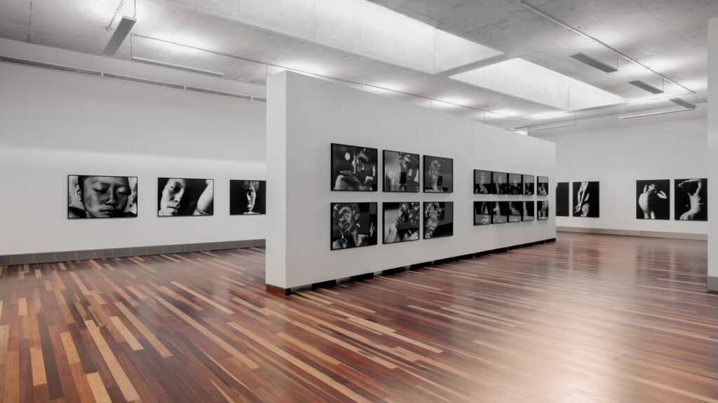 Obra O homem, Claudia Andujar. Acervo de arte contemporânea Inhotim
