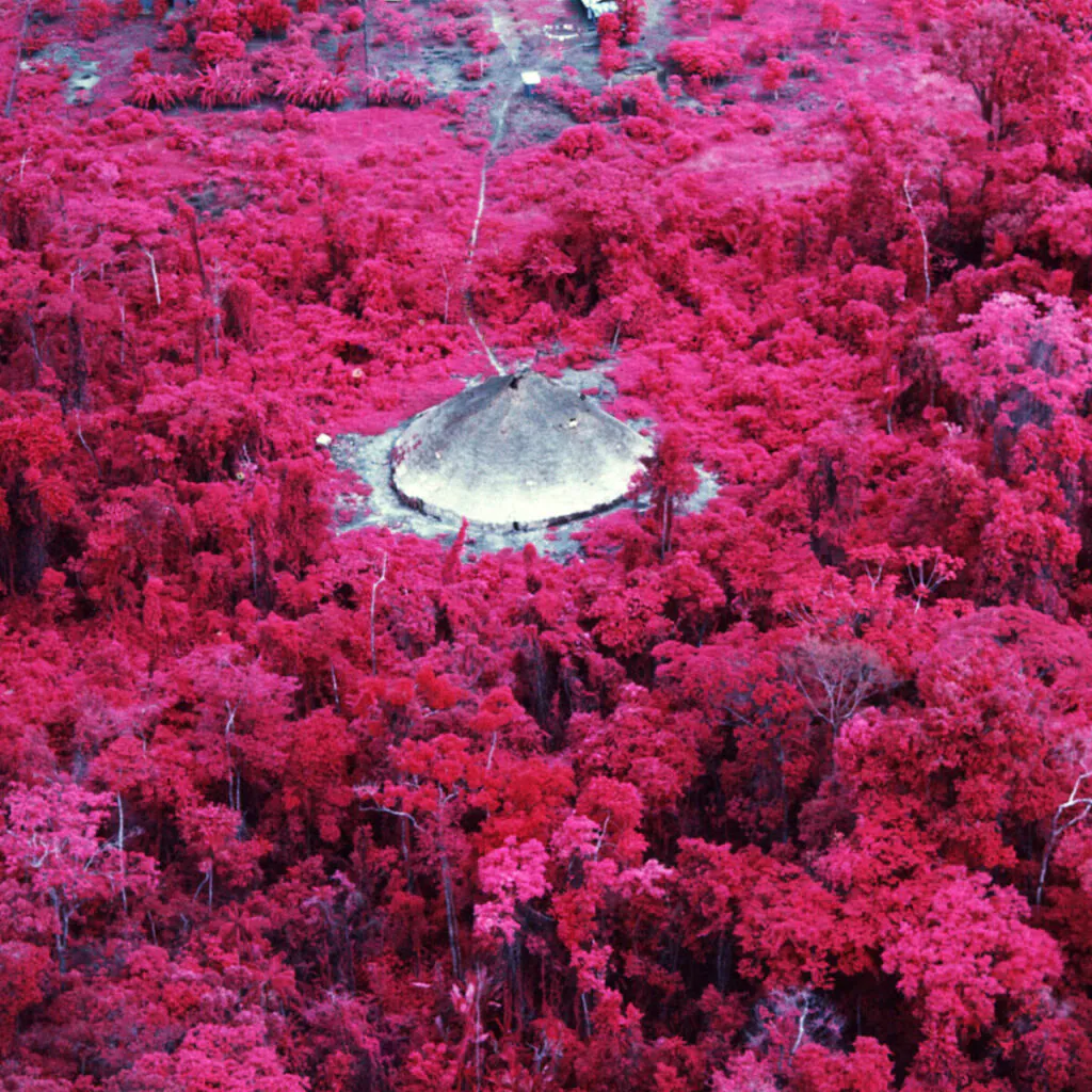 Claudia Andujar, Urihi-a (da série Catrimani), 1976, impressão colorida sobre papel de algodão baritado, 100x150 cm.