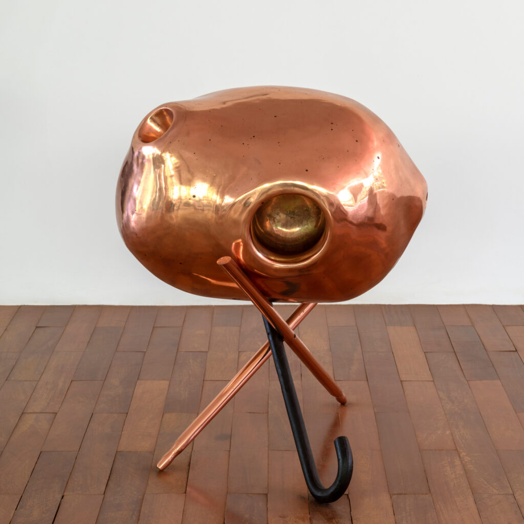 Obra A Bela e a Fera, 2001, de Tunga. Acervo de arte contemporânea Inhotim