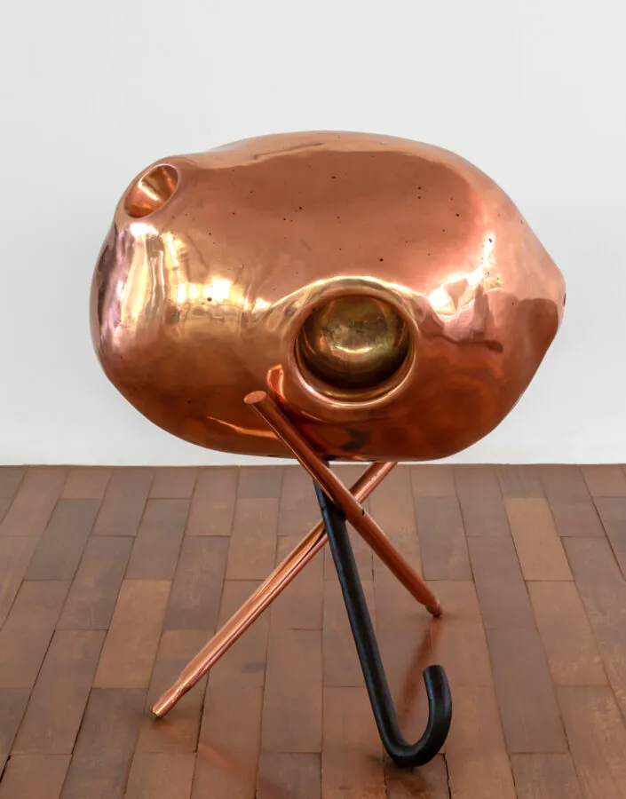 Obra A bela e a fera, 2001, de Tunga. Acervo de arte contemporânea Inhotim