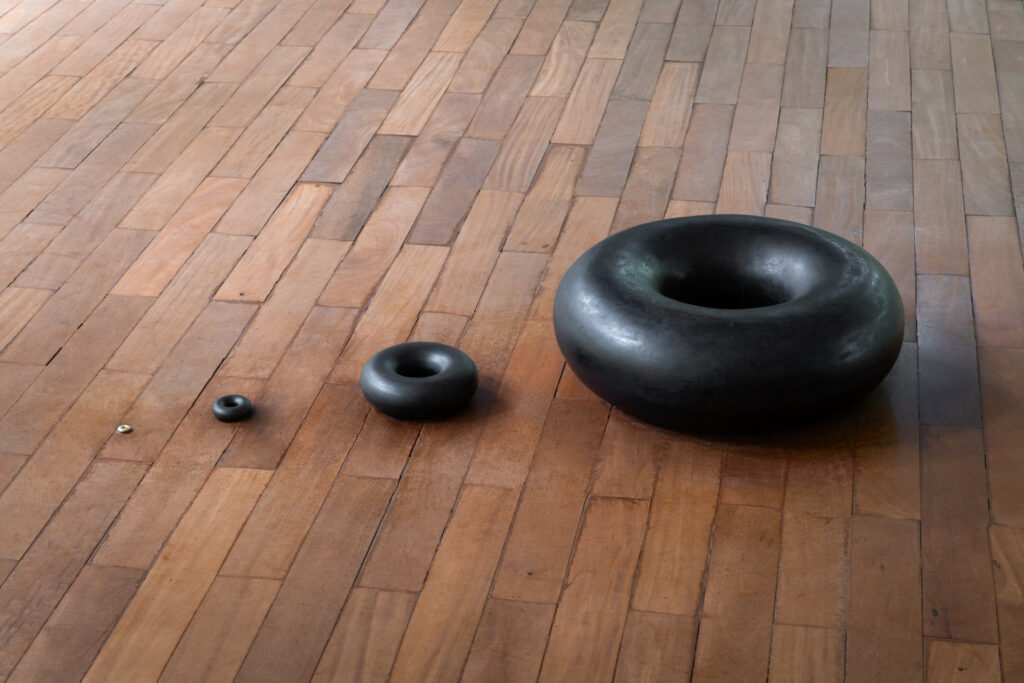 Obra Tunga, Toro Condensed,1983, de Tunga. Acervo de arte contemporânea Inhotim
