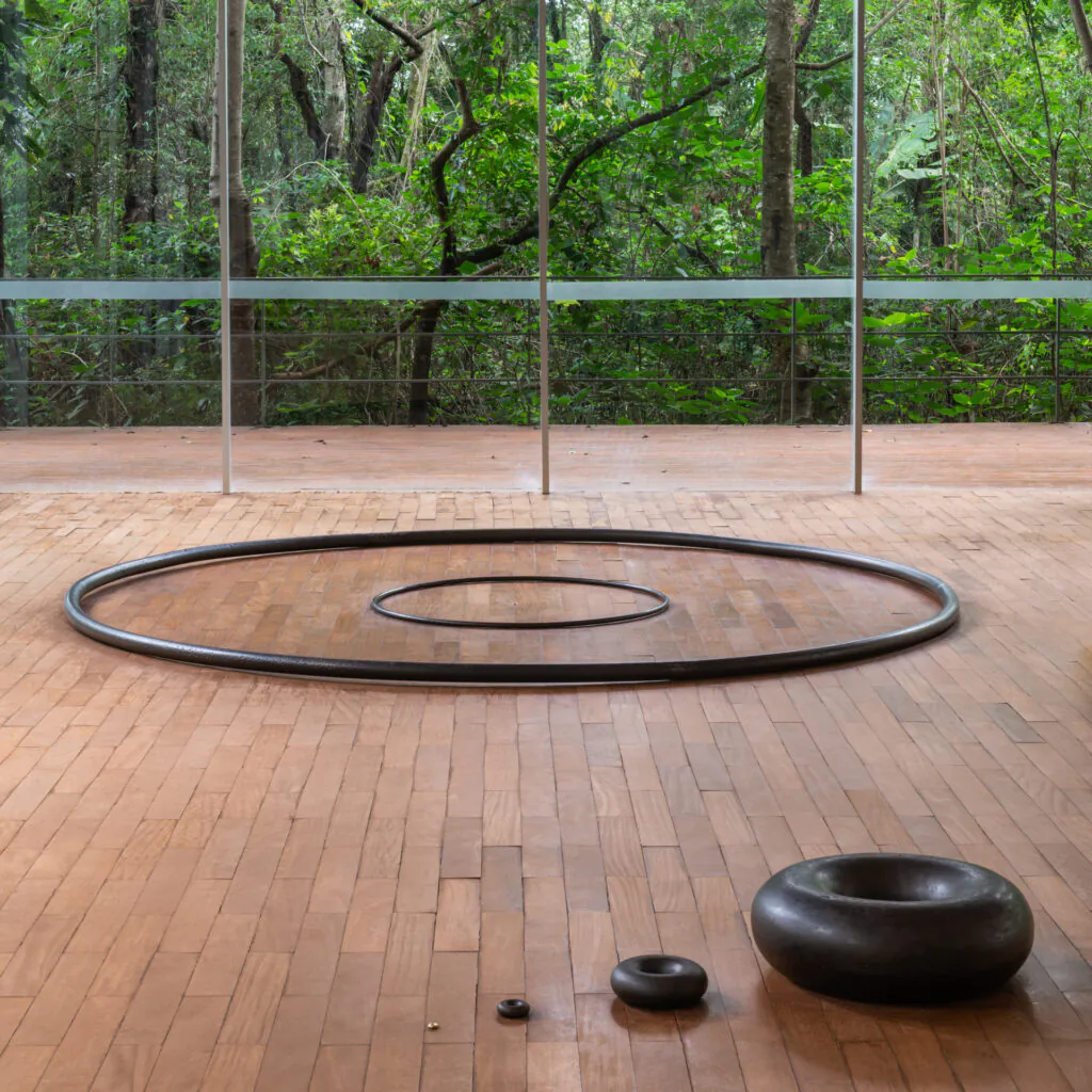 Obra Tunga, Toro Condensed,1983, de Tunga. Acervo de arte contemporânea Inhotim