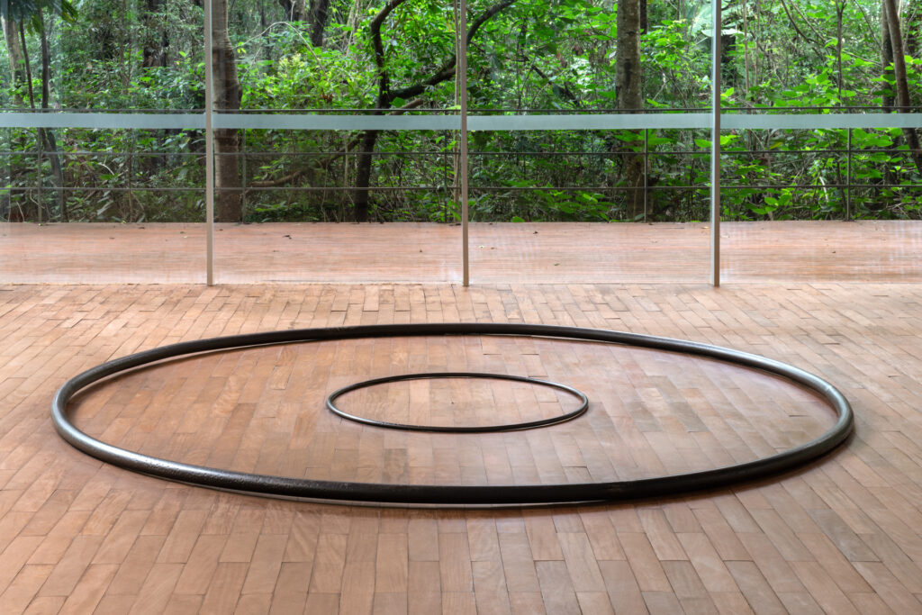 Obra Toro Expanded, 2012, de Tunga. Acervo de arte contemporânea Inhotim