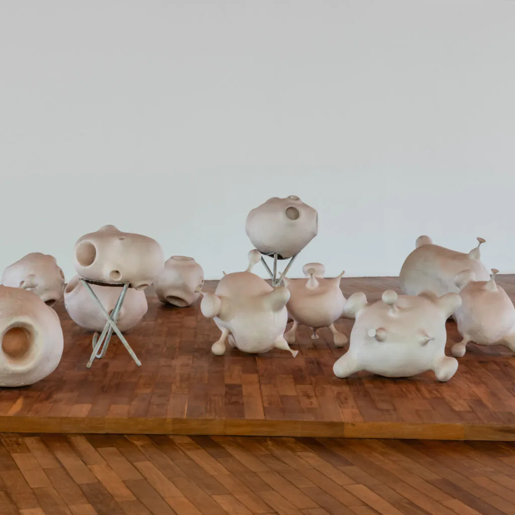 Obra Prole do bebê, 2000, de Tunga. Acervo de arte contemporânea Inhotim