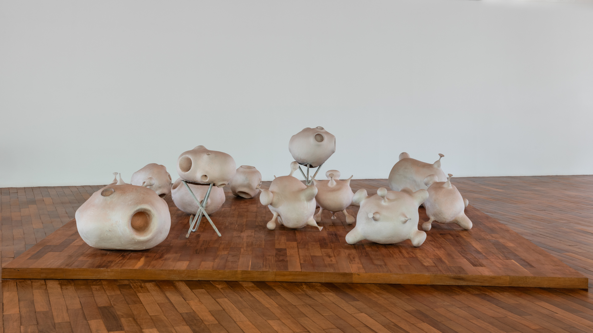 Obra Prole do bebê, 2000, de Tunga. Acervo de arte contemporânea Inhotim