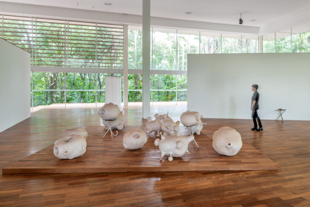 Obra Prole do bebê, 2000, de Tunga. Acervo de arte contemporânea Inhotim