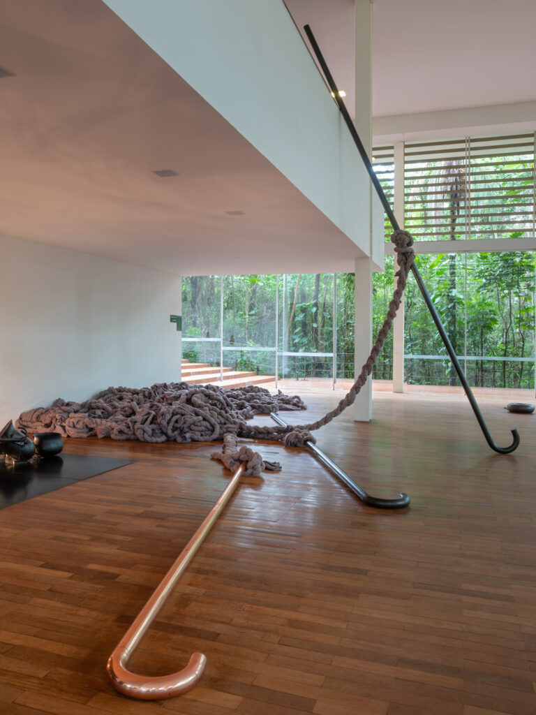 Obra Tereza, 1998, de Tunga. Acervo de arte contemporânea Inhotim